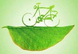 阳宅内外环境风水看身体健康