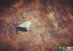 正印与十神的坐支关系