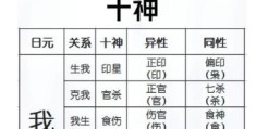 八字十神正官代表的象义有哪些