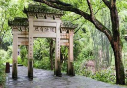 八字代表的风水干支类象