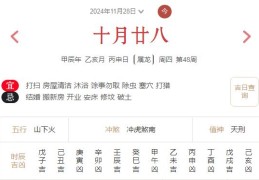 2024年11月28日每日五行穿衣指数解读搭配