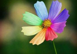 人要走好运的征兆，如何快速改运