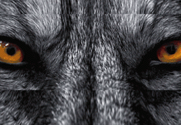 煞气重的人长相特征，命有煞气的人怎么办