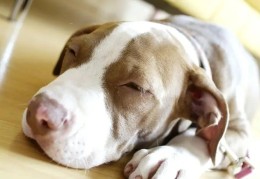 1994年出生的人命好吗