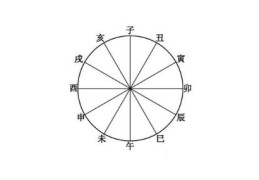 地支六冲断疾病技巧