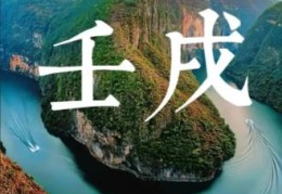 壬戌日出生的人命好吗，壬戌日各个时辰吉凶