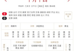 2024年11月14日每日五行穿衣指数解读搭配