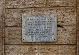 命格偏弱是什么意思（命格偏弱是什么意思呢）