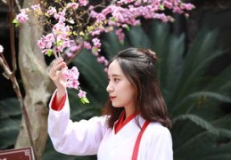 走财星运是什么意思