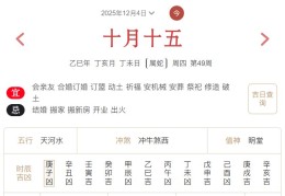 2025年12月4日每日五行穿衣指数解读搭配