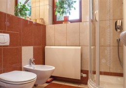 八字看旧情复燃（八字旧情复燃的）