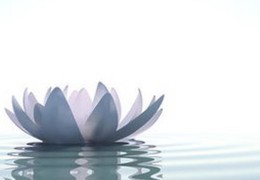 旺弱逢不同十神流年运势