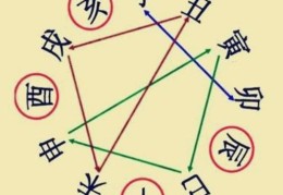 八字十二地支基础知识大全