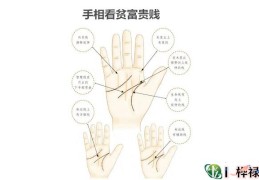 手相看贫富贵贱