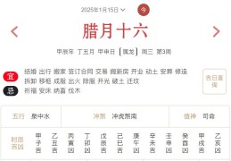 2025年1月15日每日五行穿衣指数解读搭配