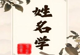 别再瞎改名字！八字“用神”不对，越改运越差（附自查 + 改名公式）