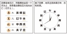 看漫画学八字——十二地支