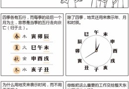 看漫画学八字——十二地支