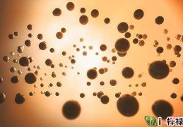 八字喜用神确定方法大全