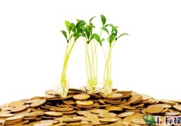 富甲一方的八字特点