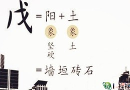 十天干戊土详解