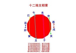 十二地支六害是什么意思