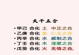八字中天干合化详解