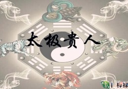 太极贵人在哪柱最好