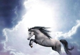 八字禄马格逢冲合