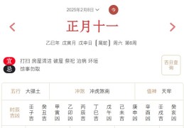 2025年2月8日每日五行穿衣指数解读搭配