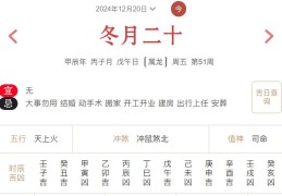 2024年12月20日每日五行穿衣指数解读搭配