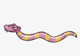 1977年出生的人命好吗