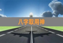 专旺的八字如何取用神（八字专旺格如何取用神）