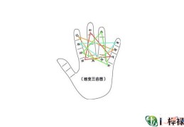 八字地支三合局合化标准