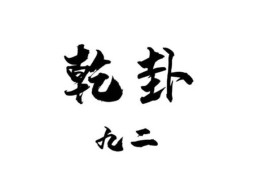 六爻八卦乾卦取象