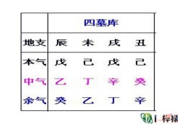 命中财库的正确查询方法