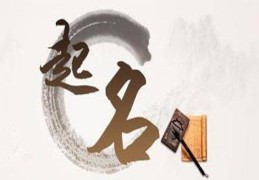 丙火男命理分析