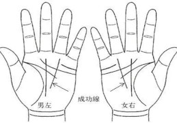 看男人的事业只看左手吗