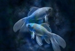 86年虎女2024年运势及每月的运程