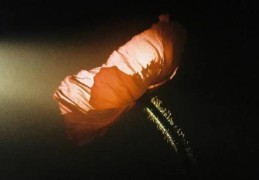 八字如何看财富格局