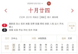 2025年12月13日每日五行穿衣指数解读搭配