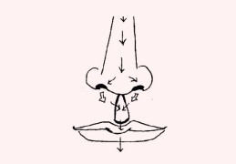 面相人中部位之相解读