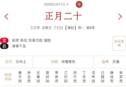 2025年2月17日每日五行穿衣指数解读搭配