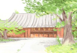 容易伤四肢的住宅风水（什么风水易伤四肢）