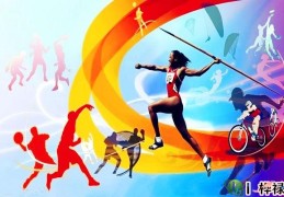 体育运动员的八字特点