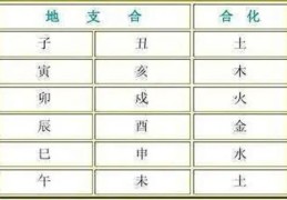 八字合化作用详细解释