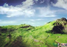 阴宅风水几大原则