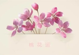 怎样找自己的桃花位