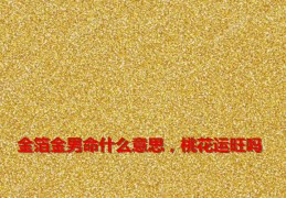 金箔金男命什么意思，桃花运旺吗