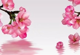 容易招烂桃花的风水禁忌